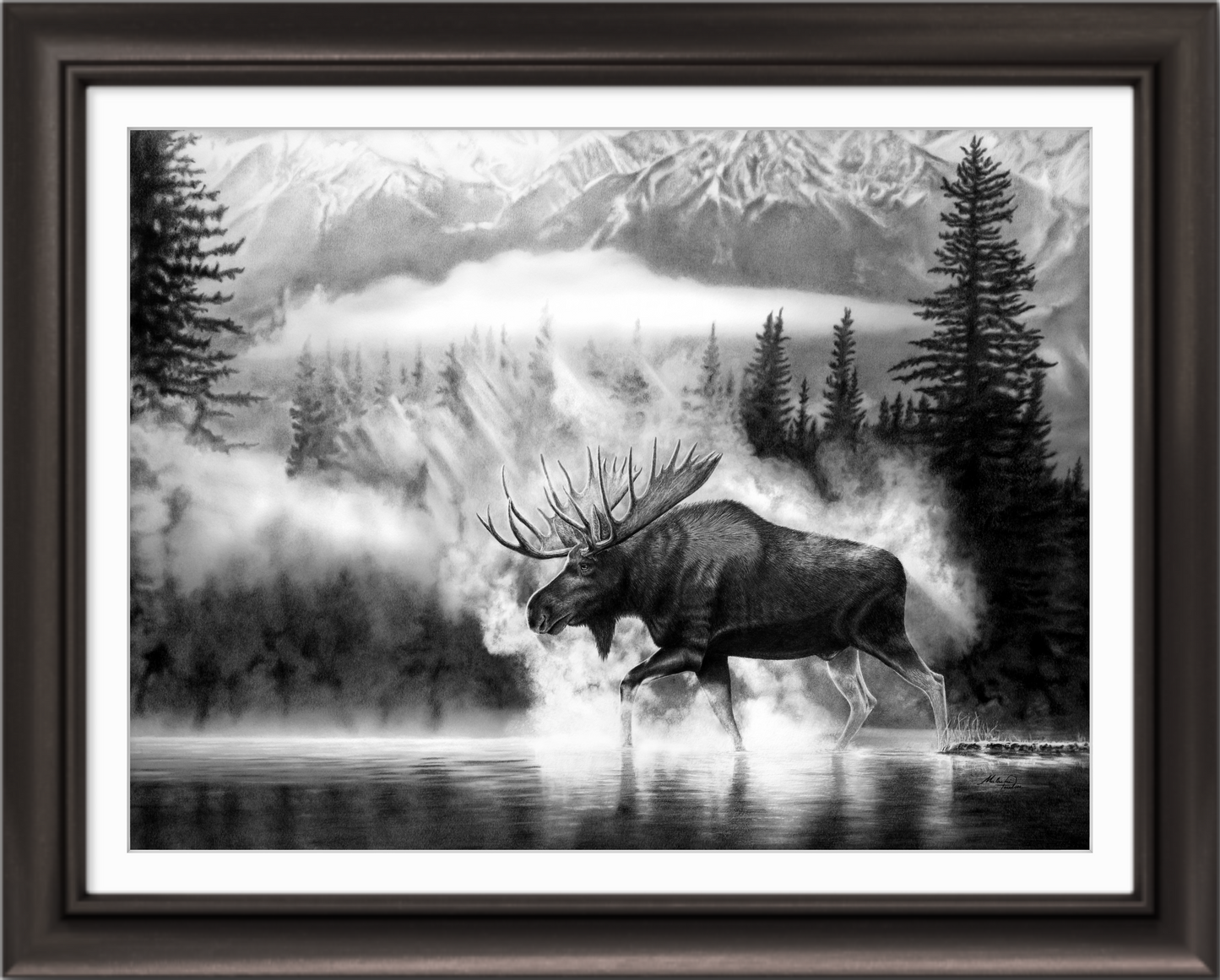 Untamed Frontier