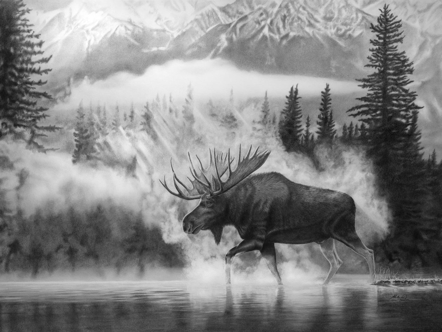 Untamed Frontier