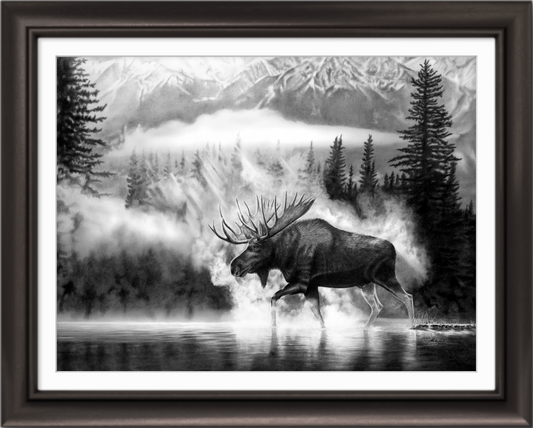 Untamed Frontier